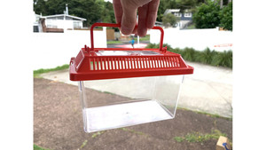 small fish tank, frog, isopods Insect Terrarium box, ant living area (18x11x11cm