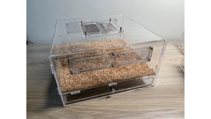 Reptiles: luxury mealworm farm ( Large ) with 300 mealworm