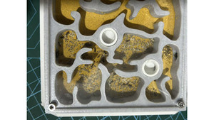 Good colony: Nylanderia super good coloy 30+ colony + W3 farm + living area ( expandable farm)