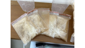 Other insect: 5 x bags of Flightless Fruit Fly culture media ( not include fly)