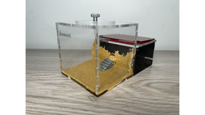 F1 farm, super good for Dracula ant and blue pony ant