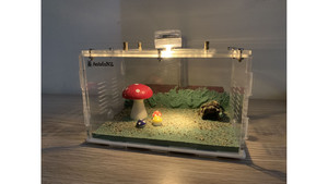 Products: P2D Large Ants farm (size 200x160x100) with cement base