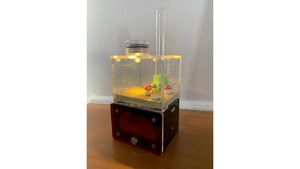 Products: A1 ant farm with light