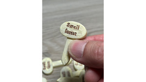 1 x (small forest) little sign