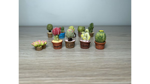 Decorate for ants farm: 1 x pot of flower