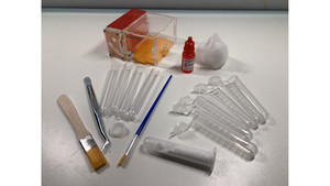 Ant keeper start kits