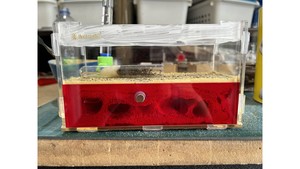 Vertical ant farm: aerated concrete blocks ants farm A2 (180 x 75 x 105 mm)