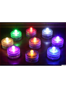 Jumping Spider: Spider, praying mantis, or other insect enclosure ( small )