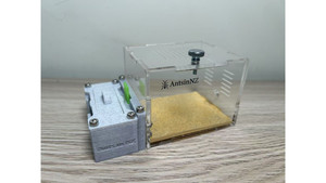 Ants in NZ farm: O1 Marble Like farm + switch + small living area (new queen farm, small colony farm)