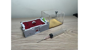 Ants in NZ farm: O2 farm + switch +small living area