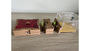 Ants in NZ farm: O1 + O2 farm + switch + small living area