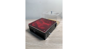 Cement ant Farm: F3 cement farm 200x115x80mm