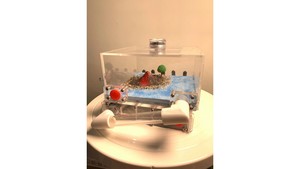 Tube ant farm: B1 Ant farm (island) with light (new design special price)