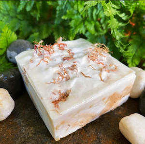 Scrubs: Angi Angi Scrub Bar