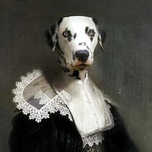 iBride Ellipse Sapho Tray