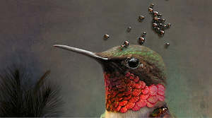 Ibride Design Dauteur: iBride Collector Portrait - Ambroise (Large)