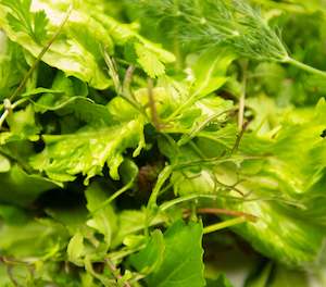 Produce: Salad Greens Mix
