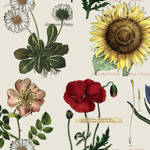 Art Journal - Botanicals - Cream