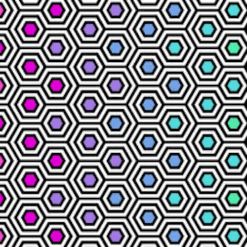 Tula Pink Hexy XL Ink 108" Backer