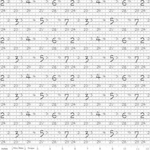 Background Fabrics: Hush Hush by Riley Blake Measure