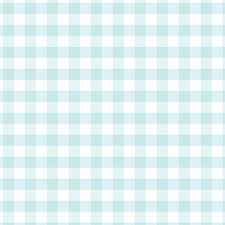 Magnolia Light Blue Check