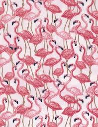 Flamingo Pink C5742