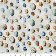 Tim Holtz Palette Collection 285 Blue eggs