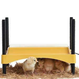 Chick Warmers Brooders: Brinsea EcoGlow Safety 600 Chick Brooder | Heat Plate