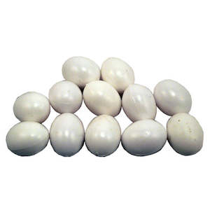 Quail Pheasants Ducks Guinea Fowl: Dove or Pigeon Nest Eggs | One Dozen