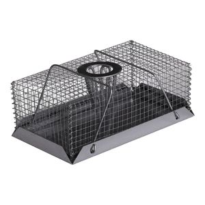 Pest Control: Mouse Trap | Drop In