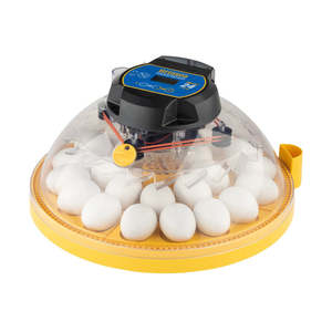 Brinsea Incubators: Maxi 24 Advance Incubator | Brinsea
