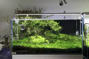 Fresh Water: Chihiros Led Lighting  A Series