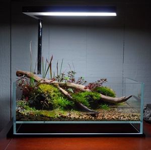 Marine Tank: LANDEN Glass Air Tank