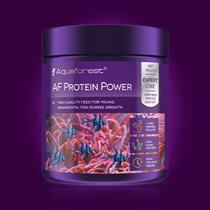 AF Protein Power