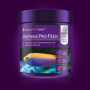 AF Anthia Pro Feed S