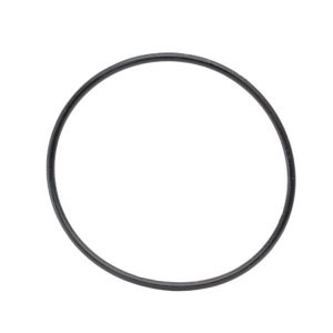 Products: O-Rings