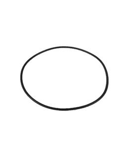 Filtration Assemblies: Series 1000 filter lid o'ring