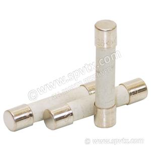 20A 31mm Pump Fuse