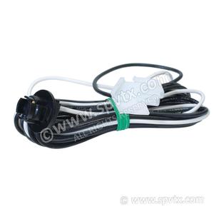 Balboa Spa Smaller Components: 2 pin Amp cord (light)