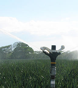 Senninger: Senninger 80 Series 32mm Sprinkler