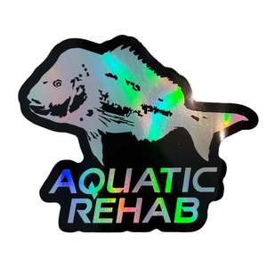 Aquatic Rehab Apparel Headwear: Holographic OG Aquatic Rehab Sticker