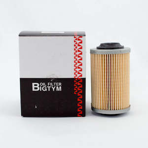 Cartridge Oil Filters: Bigtym Cartridge Oil Filter R2605P Interchange