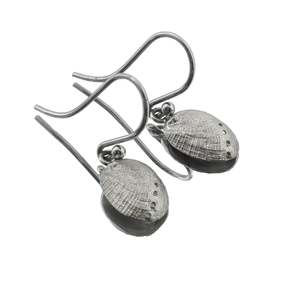 Compare At Price Check: Sterling Silver Pāua Haliotis Hook Earrings