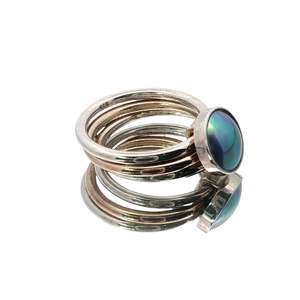Two-Tone Paua Pearl Fidget Ring