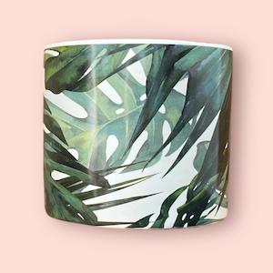 Pots and Baskets: Tropical Bliss Pot 12cm