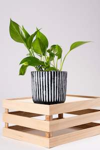 Strippy Pot