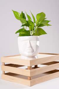 Plants Pots: Face Off Pot 12cm