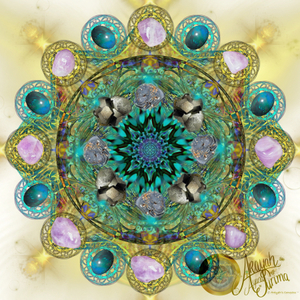 5 Soul Healing Sessions Special – Arayah’s Compass