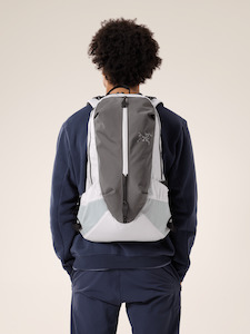 Mens Daypacks: Arro 22 Backpack