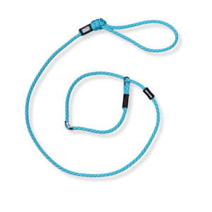 Pukaki Dog Slip Leash